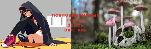 PSILOCYBIN Галич