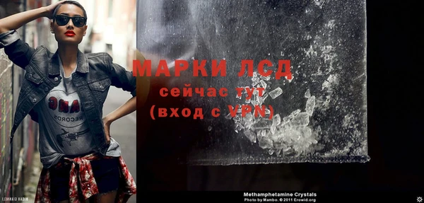 PSILOCYBIN Галич