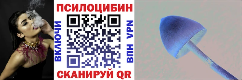 Галлюциногенные грибы мицелий  Купить где  Райчихинск 